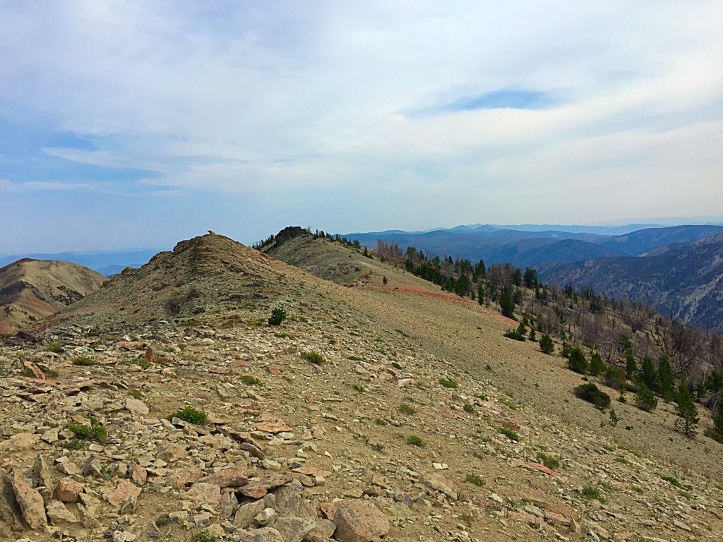 The summit ridge of Peak 9704. The two high points in the photo look of equal height. The farthest one is evidently 15 feet higher.