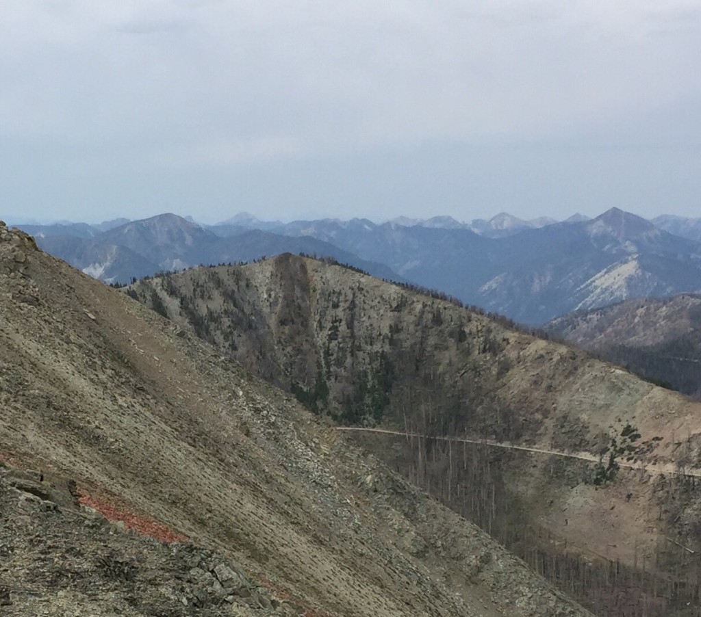 Peak 9598 viewed from Peal 9740. Note the Sleeping Deer Mountain Road traversing the peak's northern slopes.