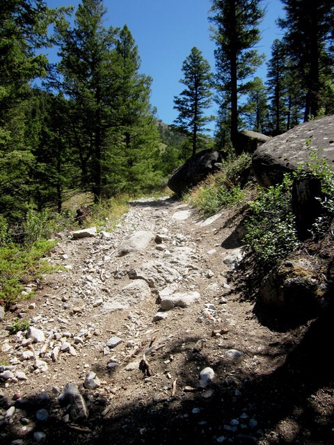  After the high-clearance & narrow 4-wd road turns into an ATV road. Ray Brooks Photo 