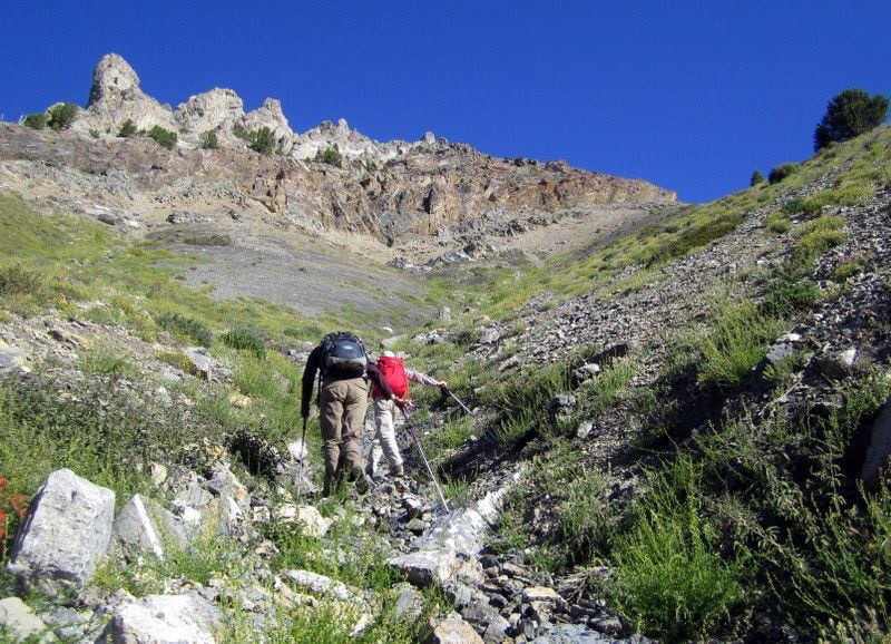 The lower gully. Deb Rose Photo 