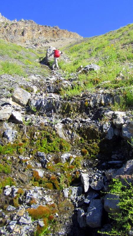 The upper gully. Deb Rose Photo 