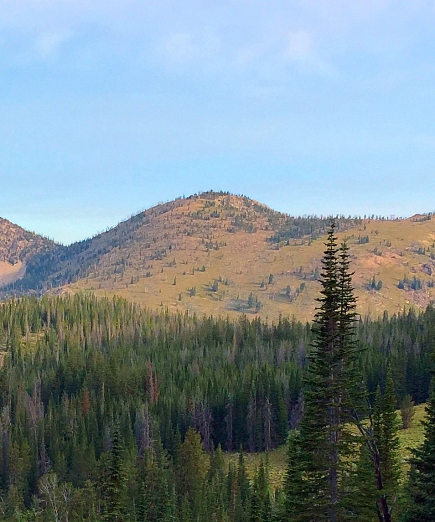 Peak 9446 viewed from the south. Woodtick Summit is to the right of this image.