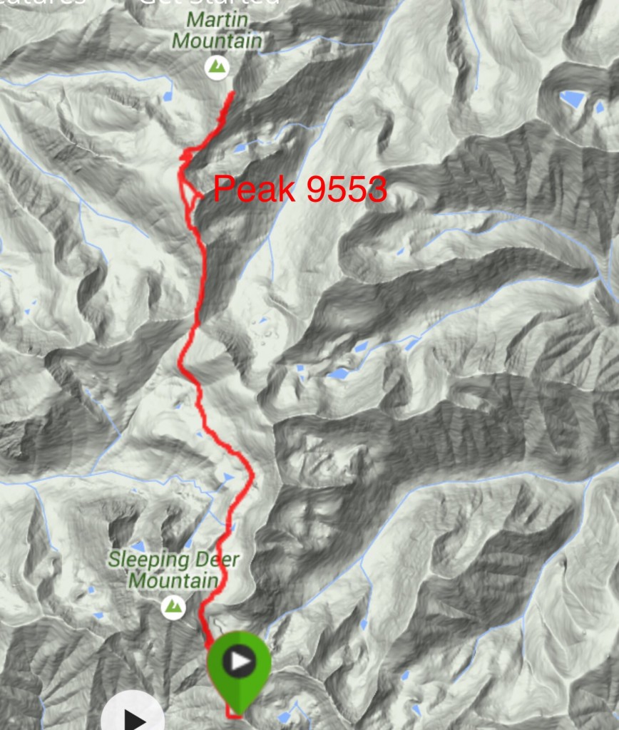 My GPS track for Martin Mountain and Peak 9553.
