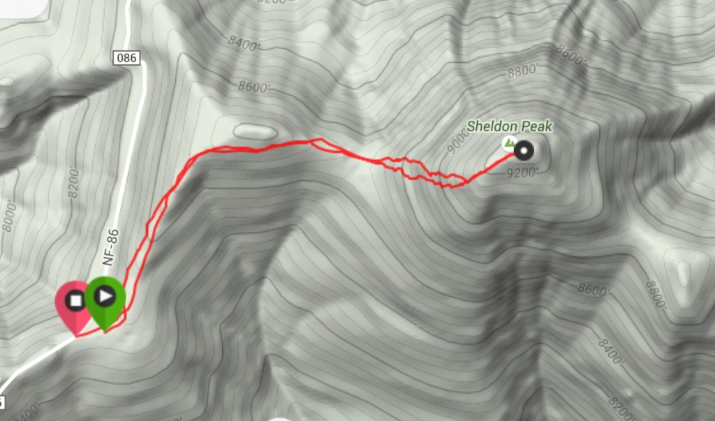 My GPS track for Sheldon Peak.