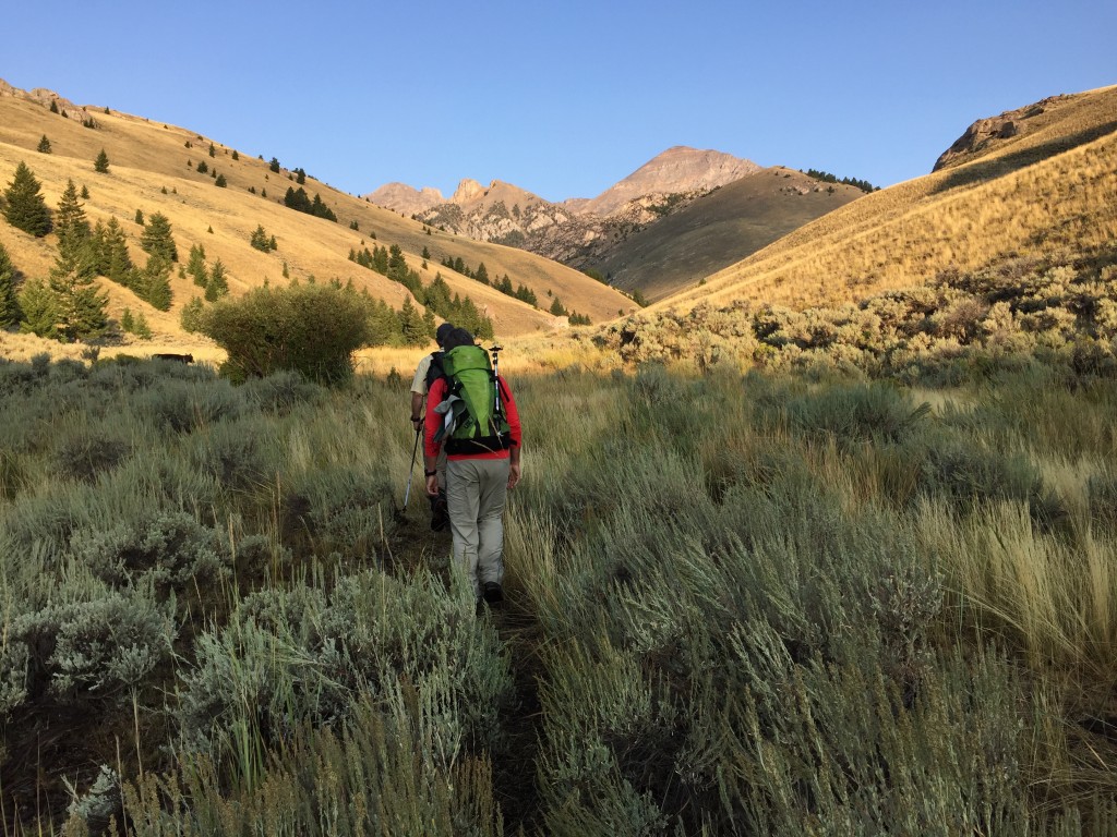 From the end of the Pass Creek Road, an ATV continues up the Middle Fork Pass Creek. Follow it for roughly 1.5 miles and the turn into the drainage that leads to the southeast face. Cattle trails run up this valley until it steepens.