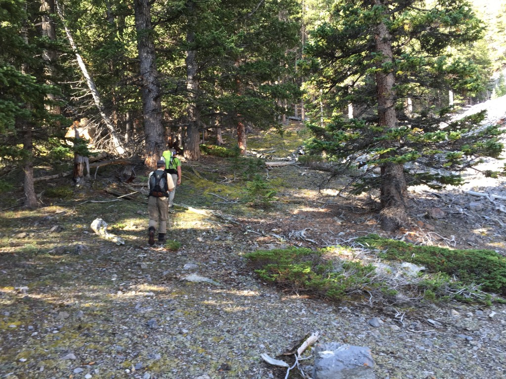 In some ways the valley resembles a braided River as it does not have a well defined stream bed. Instead you will find that your route meanders between draws and steep slopes.