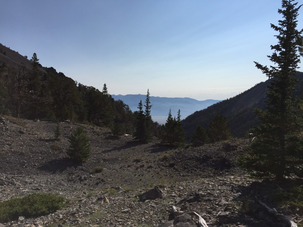 The trees thin out around 9,700 feet. This photo looks back down the drainage.