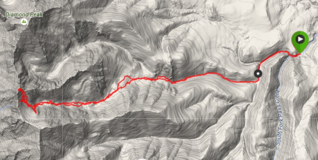 This is my GPS Track for the Riddler. Note that my GPS measured the route at 19.6 miles. My iPhone measured 16.5. Larry Prescott's GPS measured 16.0 miles. In any event, it's a long jaunt.