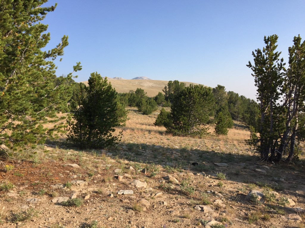 Looking north from the highest point along the mining road.