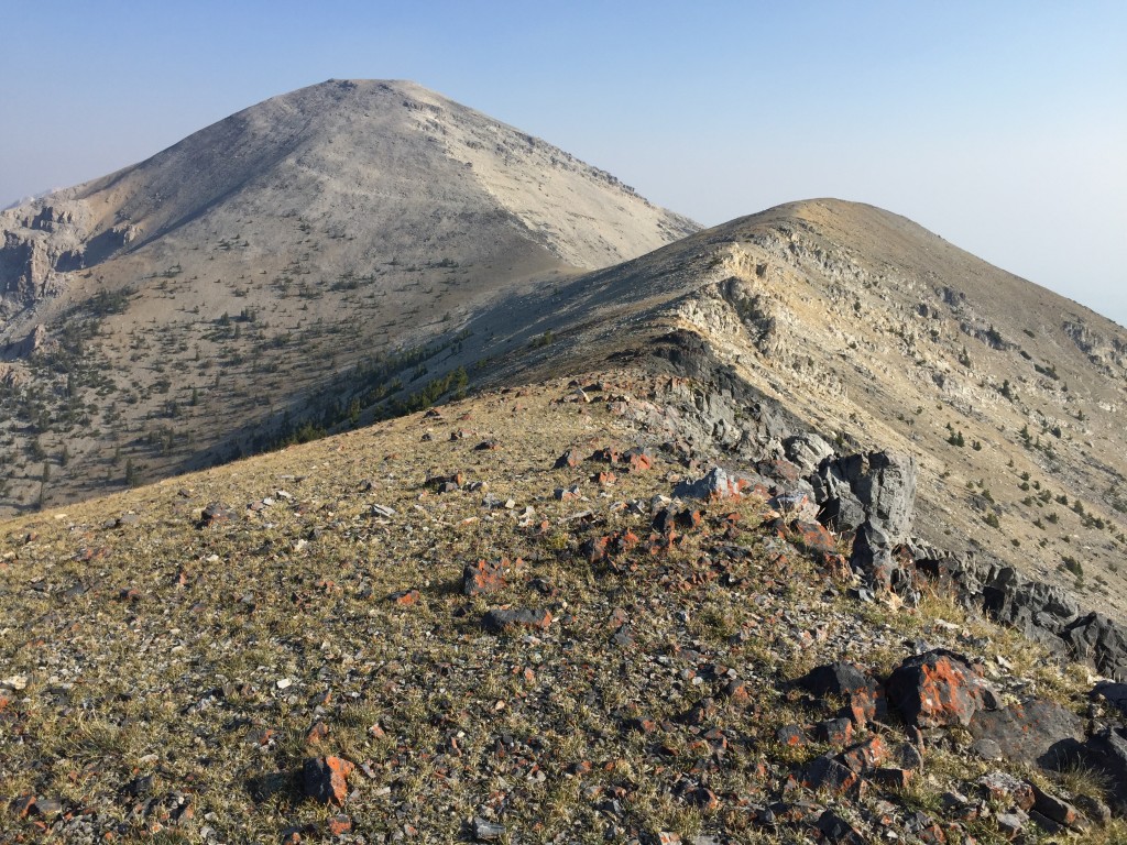 Sheep Mountain's summit is about 1.5 miles from the road.