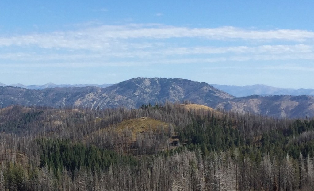 Dog Mountain from House Mountain.