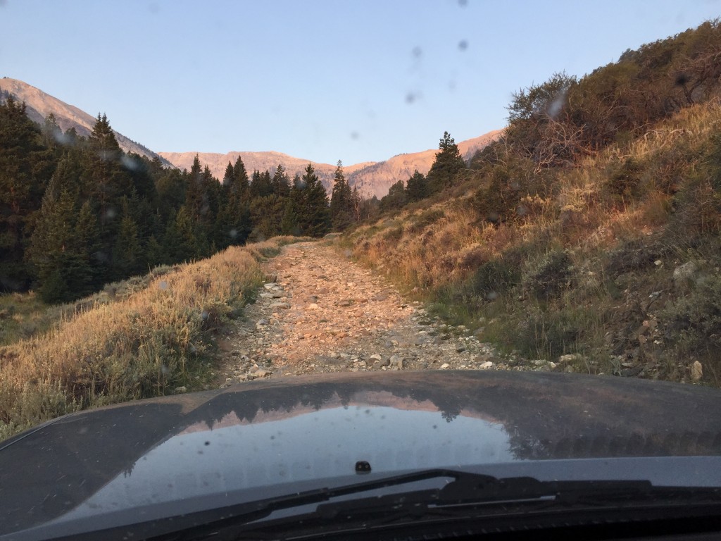 Looking out on a rock garden of a road.