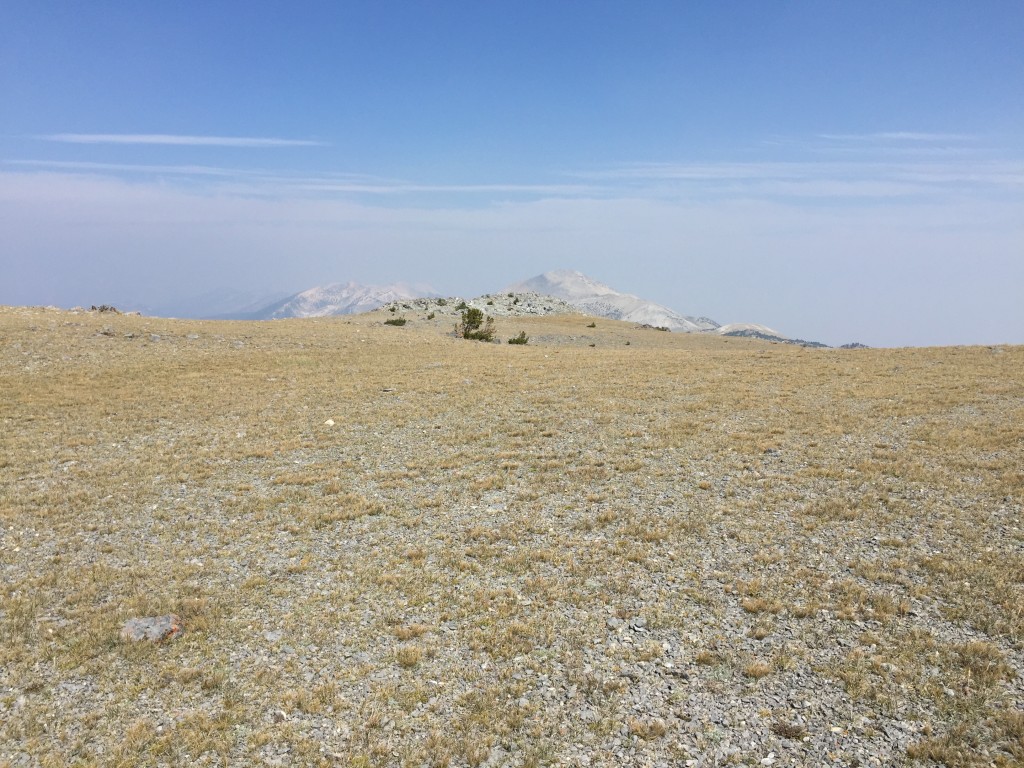 The expansive summit plateau of Big Windy Peak.