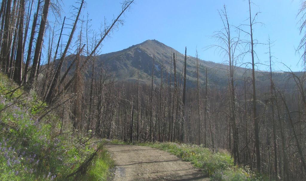 Pinyon Peak by Victor Zhou IDAHO A Climbing Guide