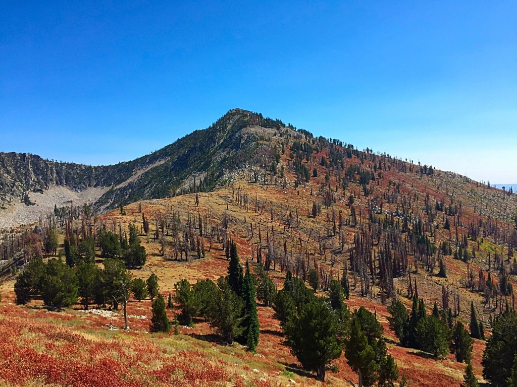 Peak 9167 viewed from Peak 9140. The saddle to the left of the peak can be reached from the Trinity Mountains Road.