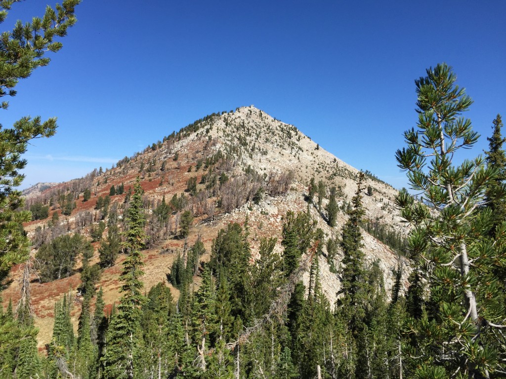 Trinity Mountain viewed from the south.