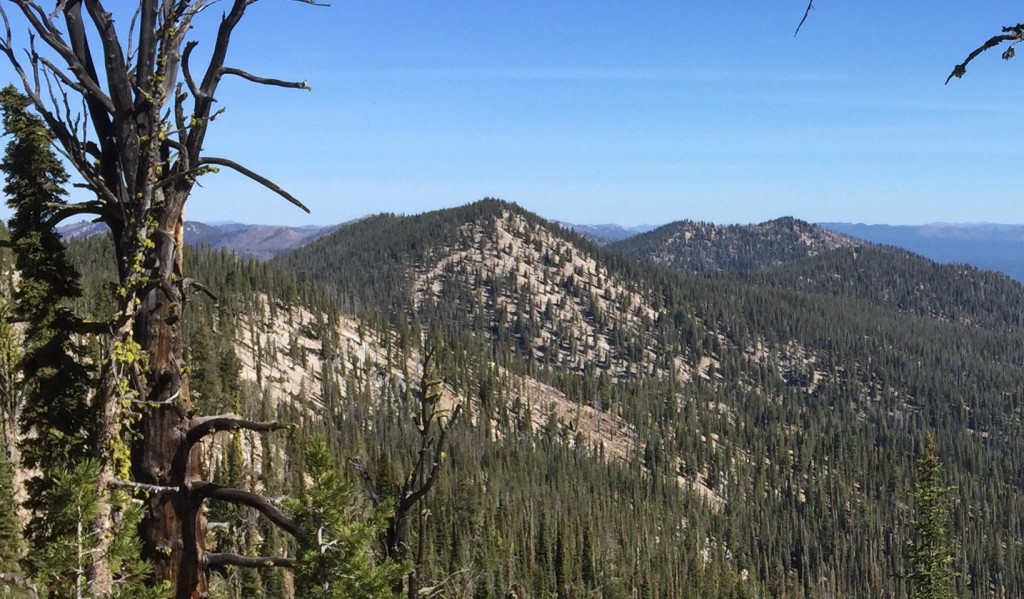 Peak 8220 viewed from the southwest along the approach route.