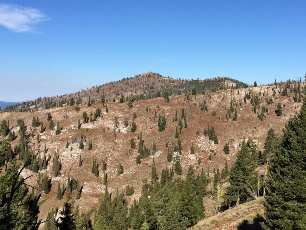 Scott Mountain from,the,Deadwood Reservoir Road.