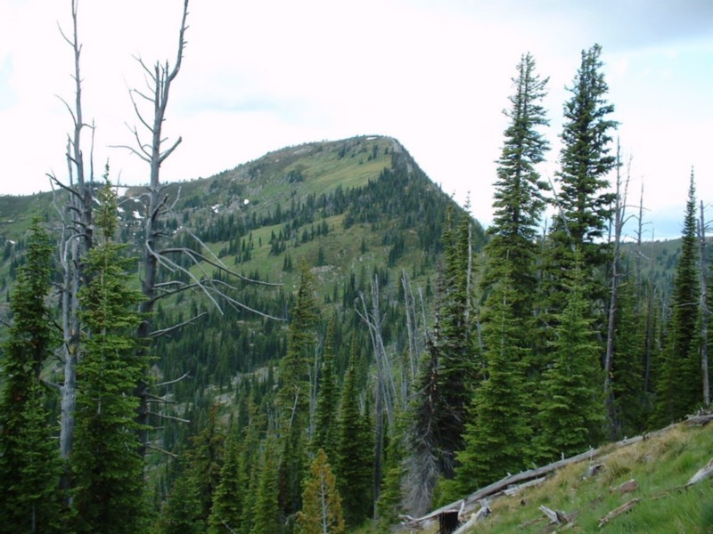 Illinois Peak on the Idaho/Montana border. Dan Robbins Photo.