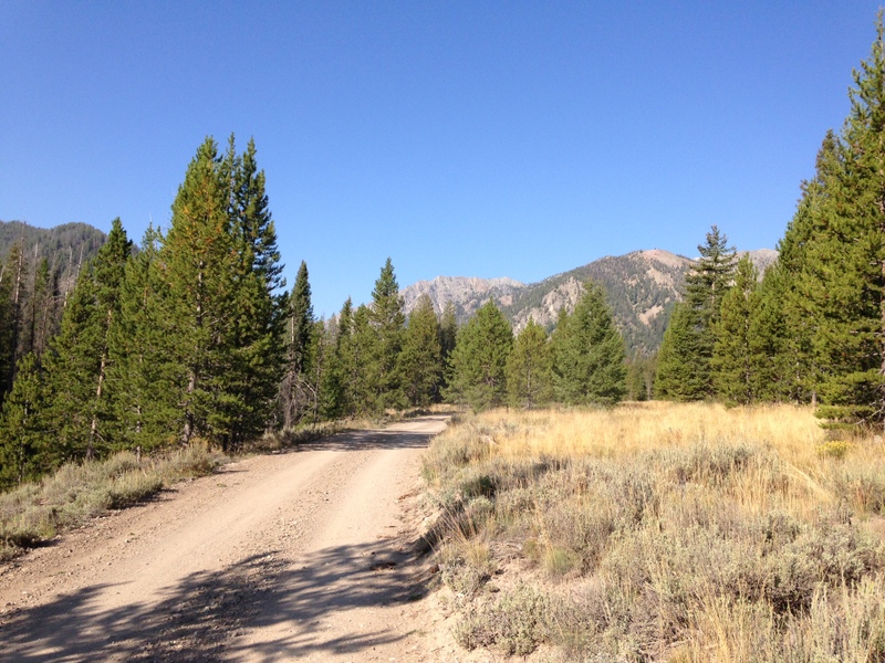 The road up Prairie Creek is well graded for its entire 3 mile course.