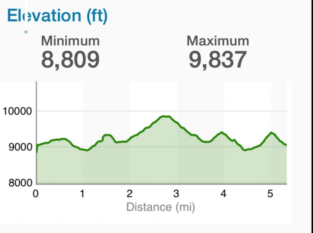 Greylock GPS profile